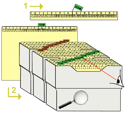 technique-classement-numrique